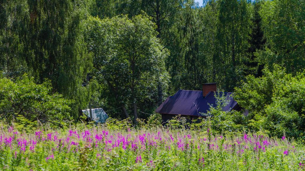 Rajan Loma Cottages Йоенсуу Екстериор снимка