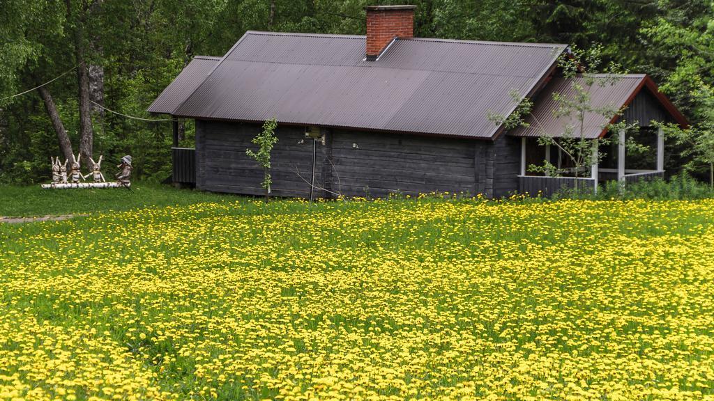 Rajan Loma Cottages Йоенсуу Екстериор снимка